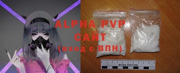 стафф Касимов