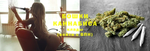 стафф Касимов