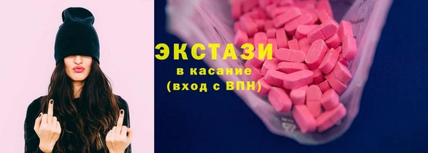 стафф Касимов