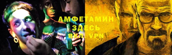 стафф Касимов