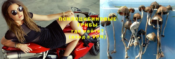 не бодяженный Карпинск
