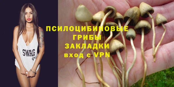стафф Касимов